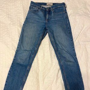 Everlane High Rise Skinny Ankle Jean